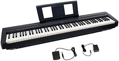 Donner OURA DDP-60 88 Key Digital Piano: Full Size Keyboard, Sensitive Touch, 8 Reverbs, Recording, 128 Voices. Includes Three Pedal, Electric Piano Keyboard for Beginners